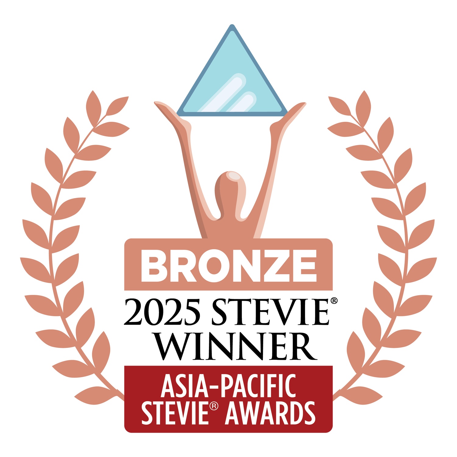 Bronze Award